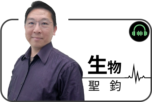 黃聖鈞老師
